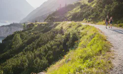 Featured image of post The Mental Health Benefits of Running